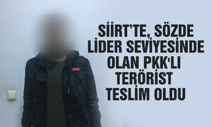 Siirt’te Terör örgütü PKK’nın