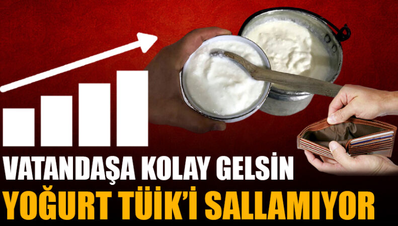 Yoğurt fiyatları Türkiye İstatistik