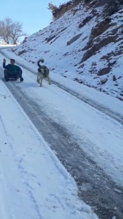 Siirt’in Eruh ilçesinde iki