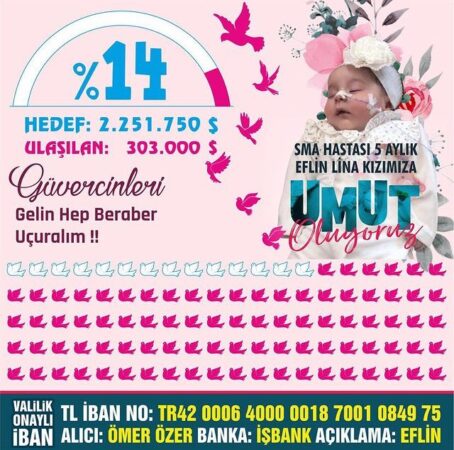 GELİN ELFİN LİNAYA BİR DESTEK DAHA VERELİM SMA tip 1 hastası Elfin Lina Özerı kurtarmaya yönelik çabalar