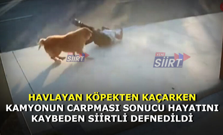 İstanbul’da Köpek havlamasından ürküp