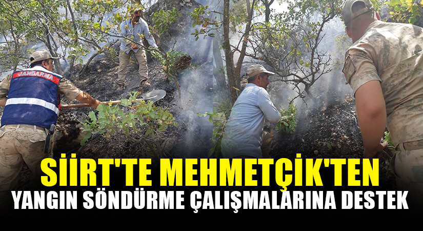 Siirt’te Mehmetçik’ten yangın söndürme çalışmalarına destek