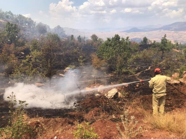 Siirt’in Pervari ilçesindeki orman yangını kontrol altına alındı