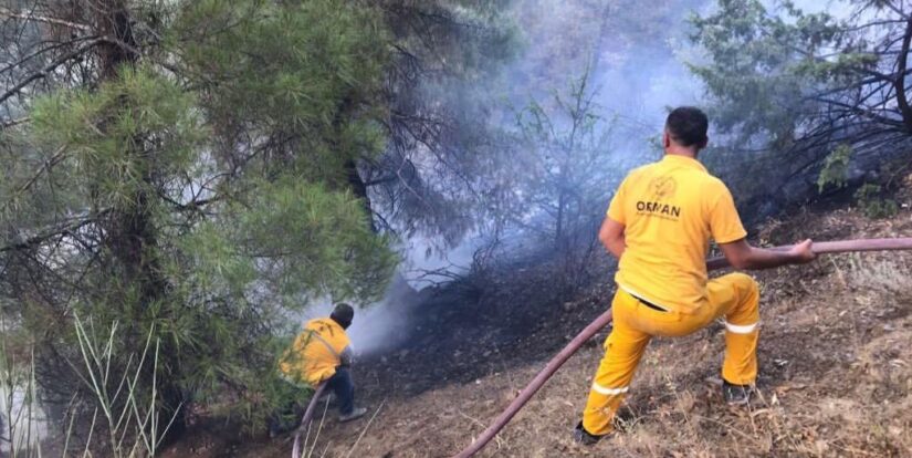 Baykan’daki Orman Yangını Kontrol Altına Alındı