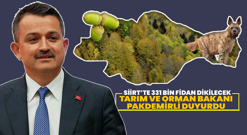 Tarım ve Orman Bakanı Pakdemirli Duyurdu, Siirt’te 331 bin fidan dikilecek