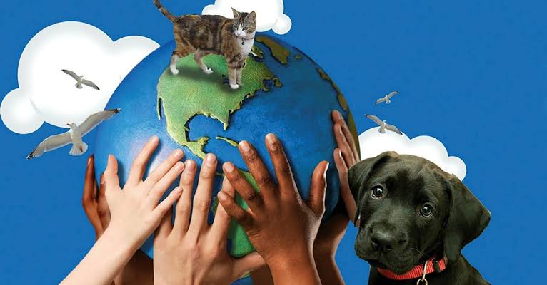 Gün ve haftaların bolca belirli konulara tahsis edildiği bir döneme