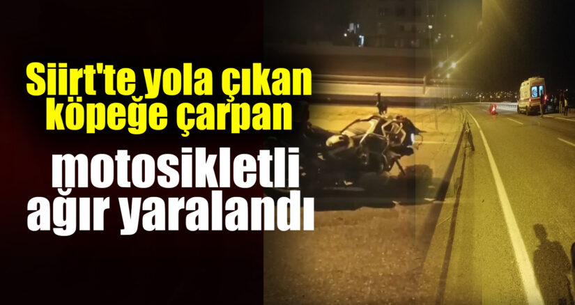 Siirt’in yola çıkan köpeğe çarpan motosikletli ağır yaralandı Siirt’te, seyir halindeki motosikletin, yola aniden çıkan köpeğe çarpması sonucu