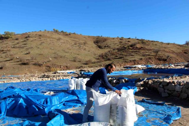 Siirt’te Kaya tuzu köylülerin geçim kaynağı haline geldi Siirt merkeze bağlı köylerde geleneksel yöntemlerle üretilen kaya tuzu, köylülerin