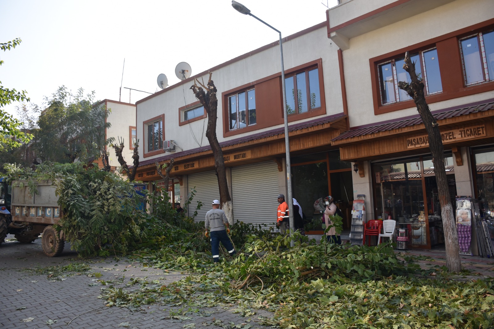 Siirt Belediyesi Park Bahçeler Müdürlüğü, mevsim şartlarına bağlı olarak yeşil