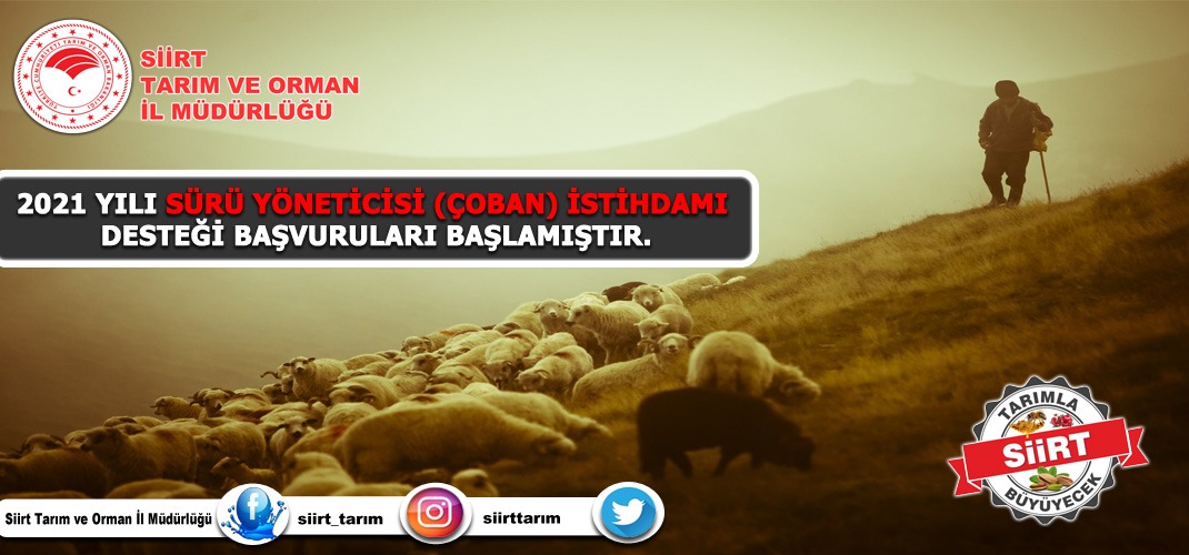 Çoban istihdam eden ayvan