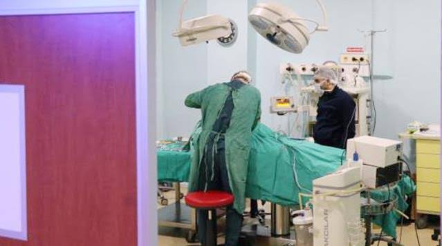 Siirt’te Saç Kılı Yeme Hastalığı Olan Kadının Midesinden 1,5 kilogram taşlaşmış saç yumağı çıktı