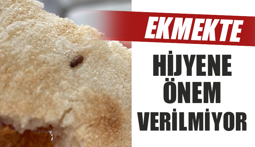 Ekmeklerde hijyene önem verilmediği ve sağlığa zararlı yabancı maddelerin çıktığı