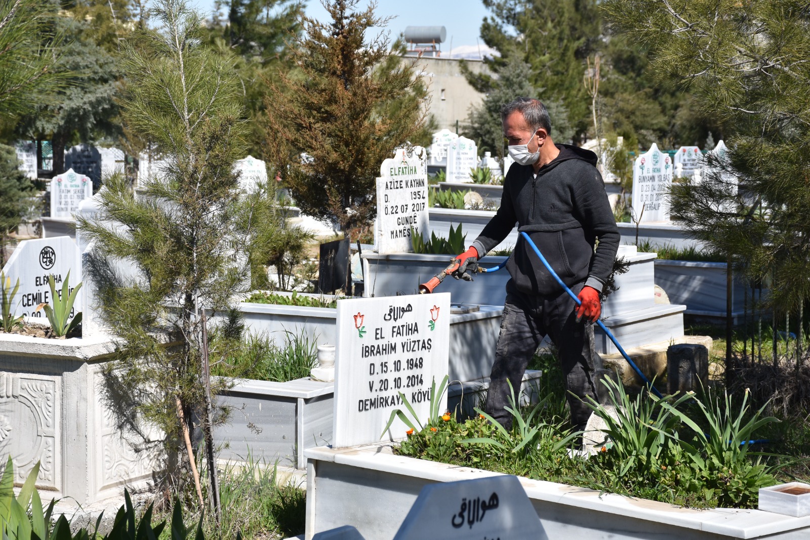Siirt’te mezarlıklarda ot ilaçlama çalışması yapıldı Siirt Belediyesi Park ve Bahçeler Müdürlüğü, il genelindeki mezarlıklarda yabani