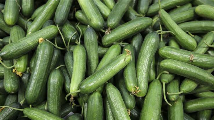 Geçen hafta kilosu 15 ila 20 TL arasında bir fiyatla