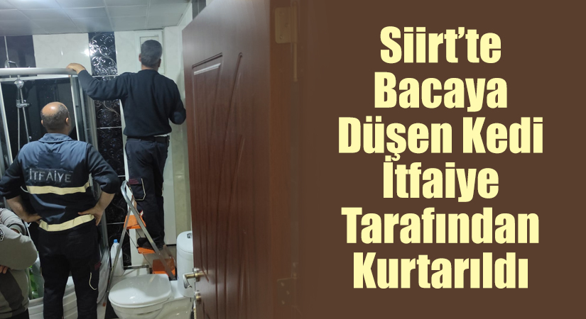 Siirt’te il merkezinde bacada sıkışan kedi itfaiye ekibi tarafından kurtarıldı.