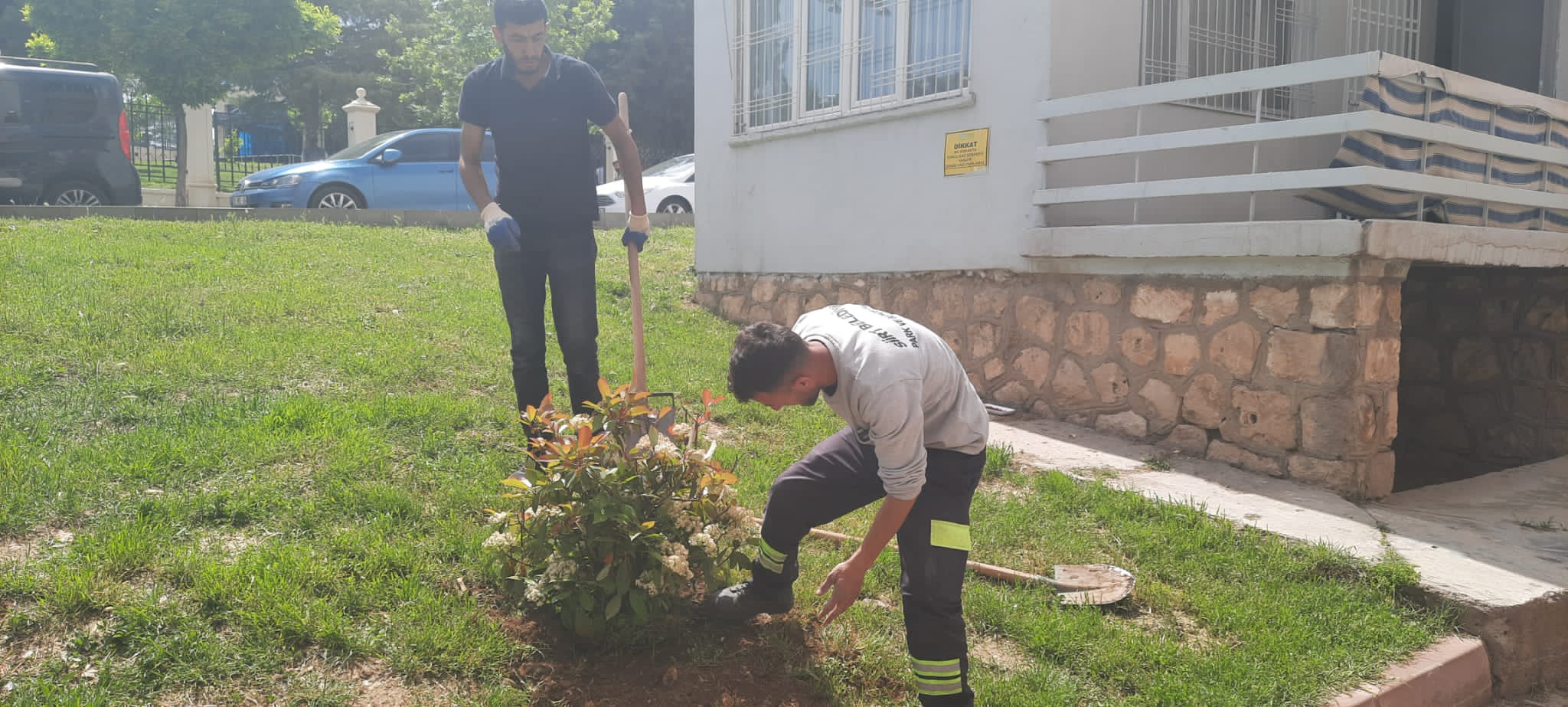 Siirt Belediyesinin park ve bahçelerde peyzaj çalışmalarını sürdürüyor. Park ve Bahçeler