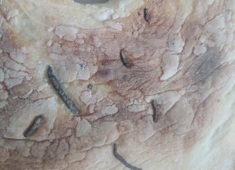 Siirt’te fırın ve lokantalardaki hijyen şartlarından şikayetler devam ediyor. Mesaj