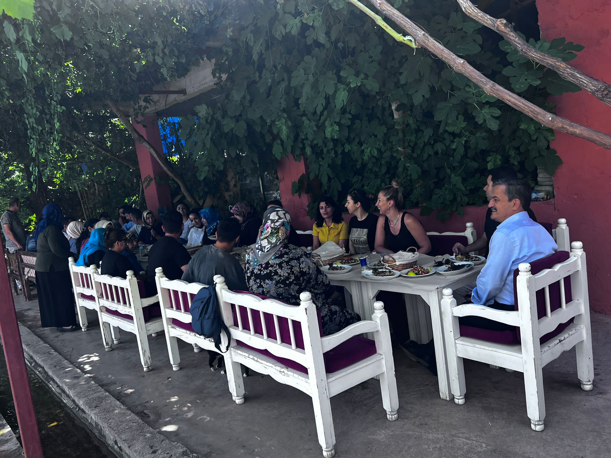 Siirt’te hastalar ve doktorlar piknikte bir araya gelerek güzel bir