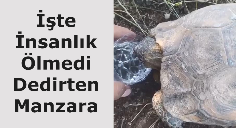 İşte İnsanlık Ölmedi Dedirten Manzara