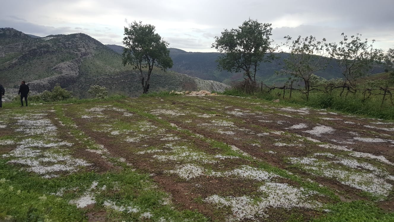 Siirt’te dolu hasarından zarar gören çiftçilere 1 milyon 500 bin lira yardım yapıldı Siirt Valiliği, Baykan ilçesine bağlı Ulaştı, Gündoğdu ve İkizler köylerine