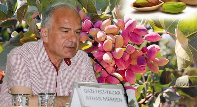 Gazeteci Yazar Ayhan Mergen Yazdı, “Fıstık Bahçelerini Koruma ve Çiftçi Mallarını Koruma Birliği Başkanlığı”