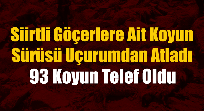 Siirtli Göçerlere Ait Koyun Sürüsü Uçurumdan Atladı! 93 Koyun Telef Oldu Hayvanlarını otlatmak üzere yaz mevsimini yaylalarda geçiren Siirtli göçerlerin koyunları