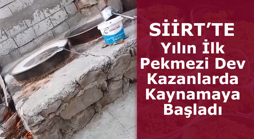 Siirt’te üzümlerin olgunlaşmaya başlamasıyla birlikte pekmez yapımına başlandı. Üzüm üretimi