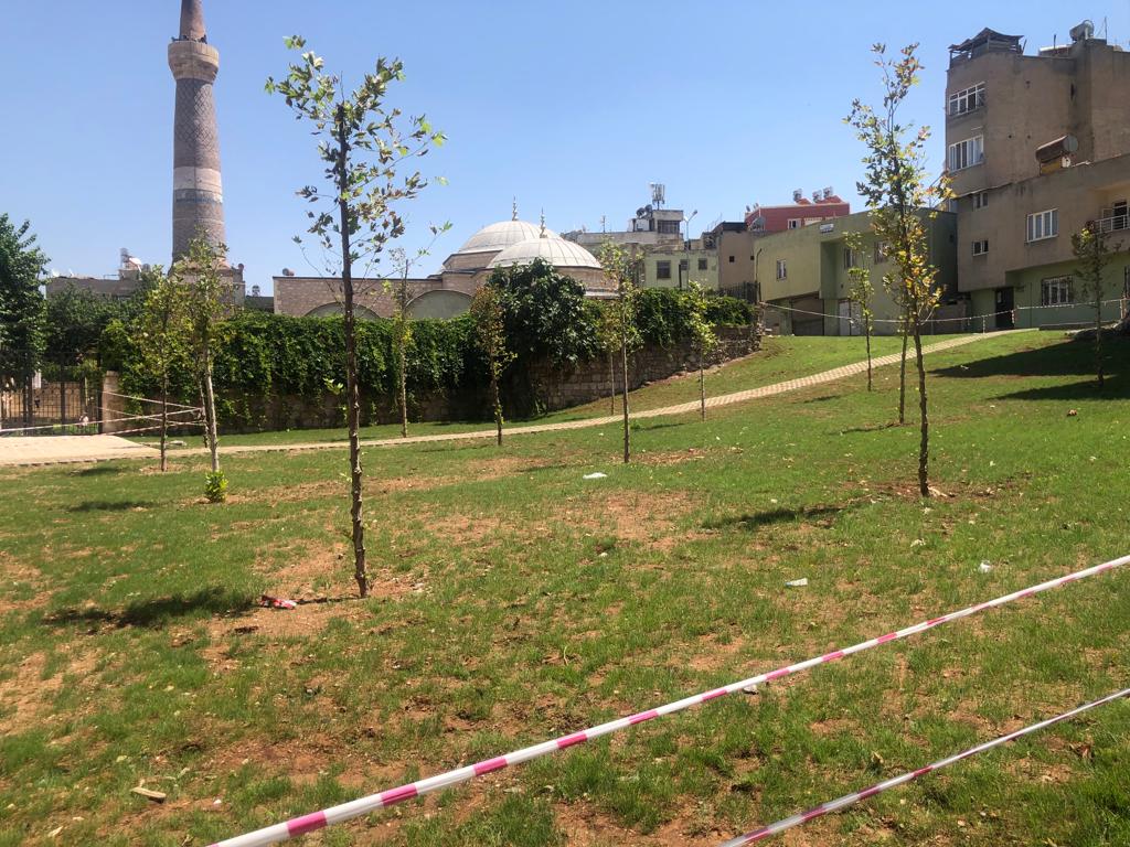 Siirt Ulu Camii çevre