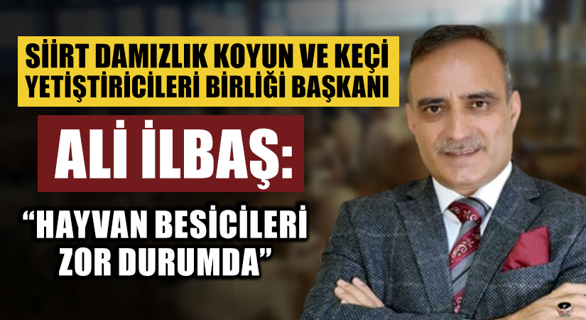 Siirt Damızlık Koyun ve Keçi Yetiştiricileri Birliği Başkanı Ali İlbaş, “Hayvan Besicileri Zor Durumda”