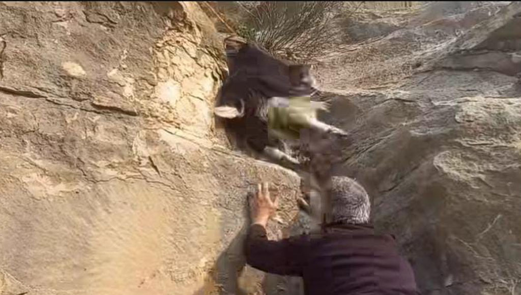 Kayalıklarda Mahsur Kalan 2 Keçiyi Vatandaşlar Kurtardı