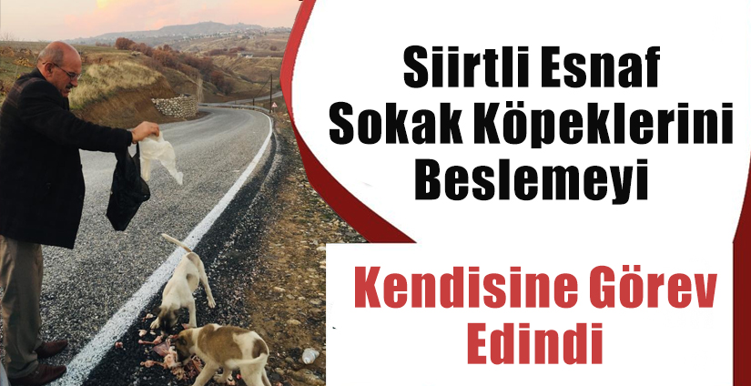 Siirtli Esnaf Sokak Köpeklerini Beslemeyi Kendisine Görev Edindi