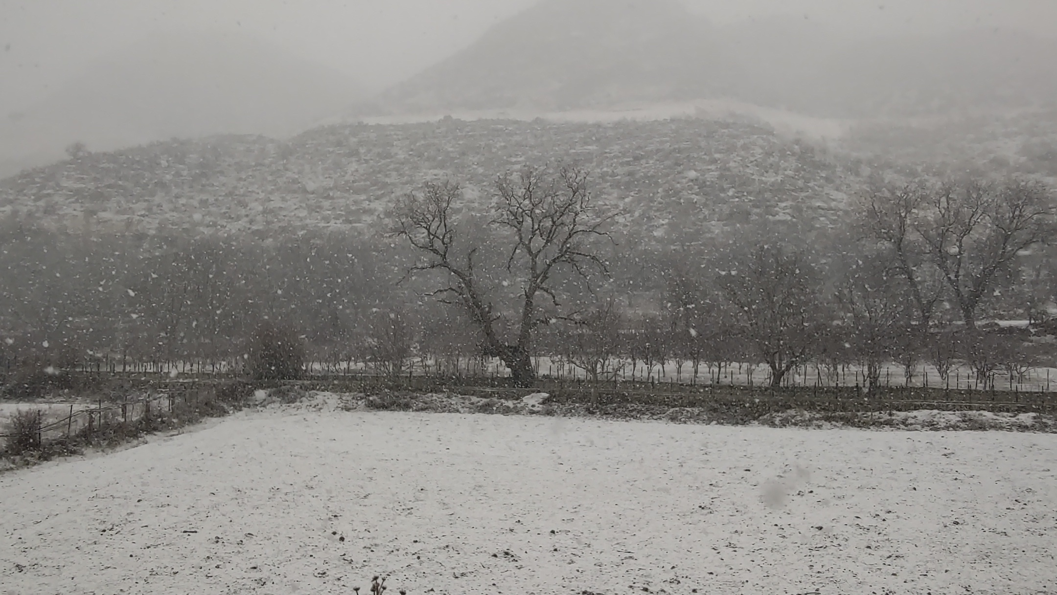 Meteoroloji’nin uyarılarının ardından Siirt’te