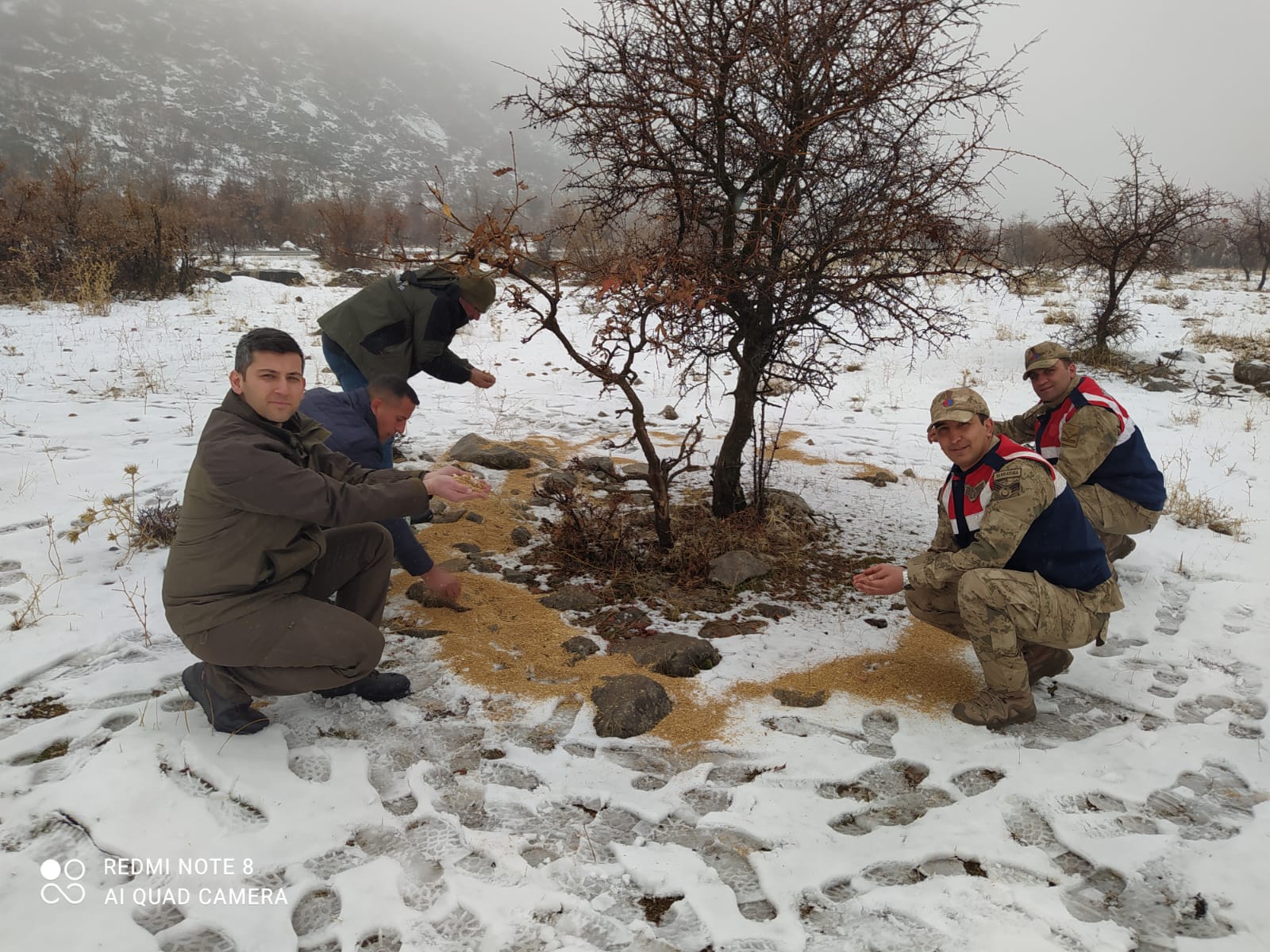 Siirt Doğa Koruma ve