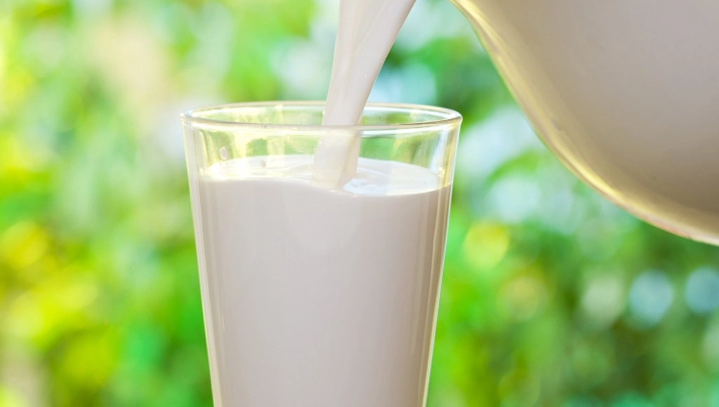 Sütün Sağlığa Faydaları