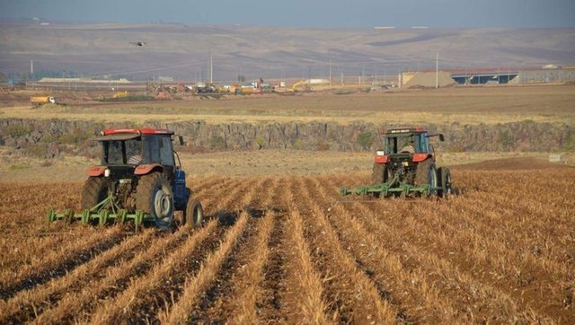 Siirt’te faaliyet gösteren 21.295