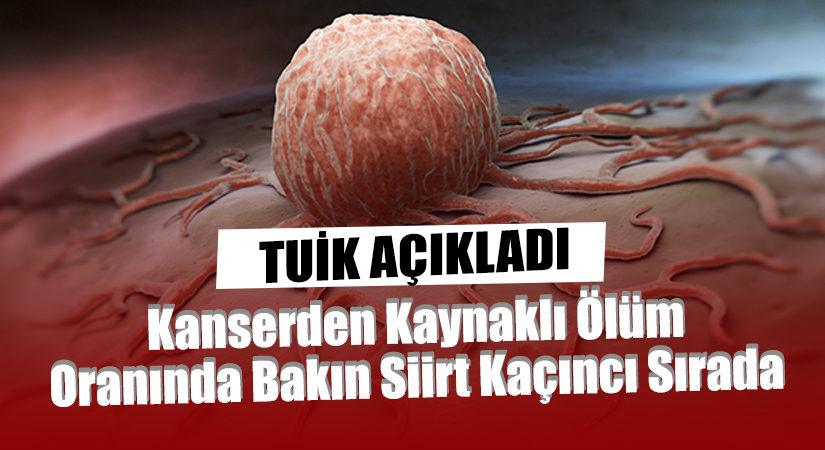 TUİK Açıkladı! Kanserden Kaynaklı Ölüm Oranında Bakın Siirt Kaçıncı Sırada TUİK, 2022 yılına ait kanserden kaynaklı ölüm istatistiklerini açıkladı. Kanser