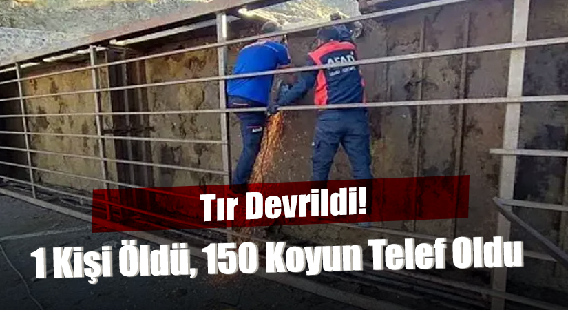 Baykan Bitlis Yolunda TIR Kazasında Sürücü Hayatını Kaybetti 150 Kurbanlık Koyun Telef Oldu Baykan Bitlis karayolu Buzlupınar mevkinde meydana gelen bir TIR kazası,