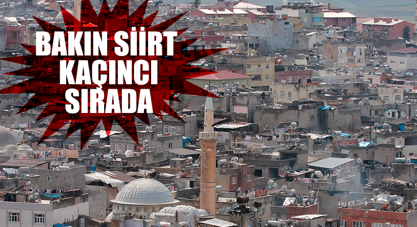 Türkiye’nin en ucuz şehirleri belli oldu! Bakın Siirt kaçıncı sırada