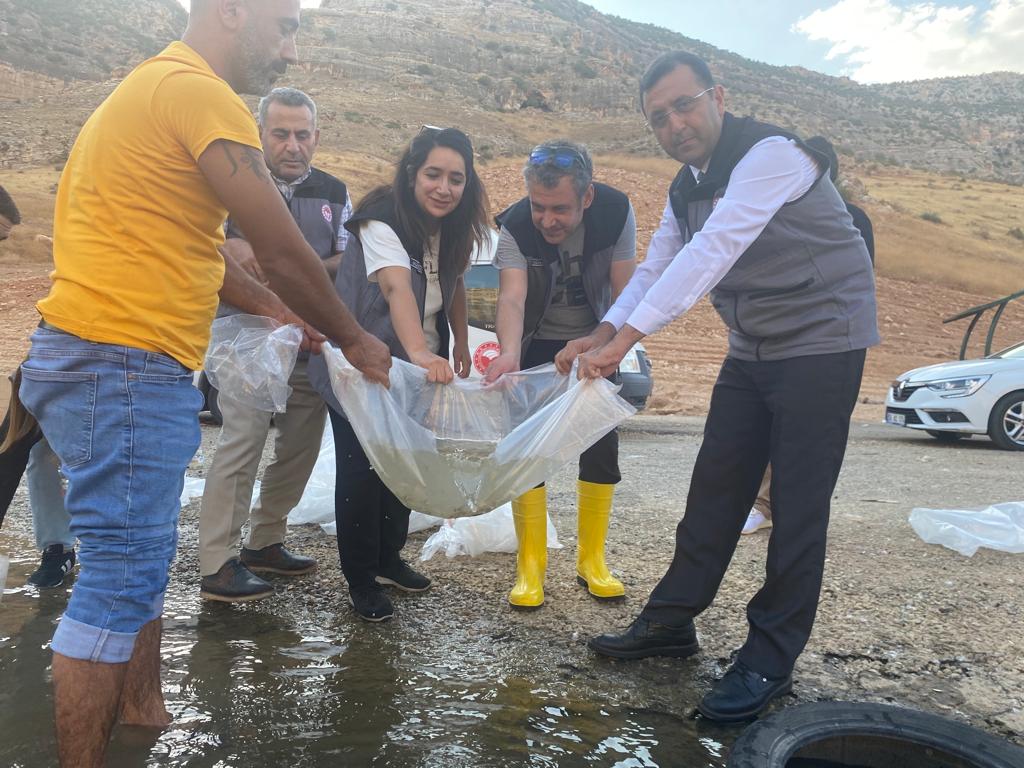 ‘Su Kaynaklarının Balıklandırılması Projesi’