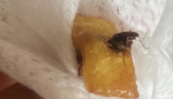 Siirt’te Tost Siparişi Veren Müşteri Neye Uğradığını Şaşırdı