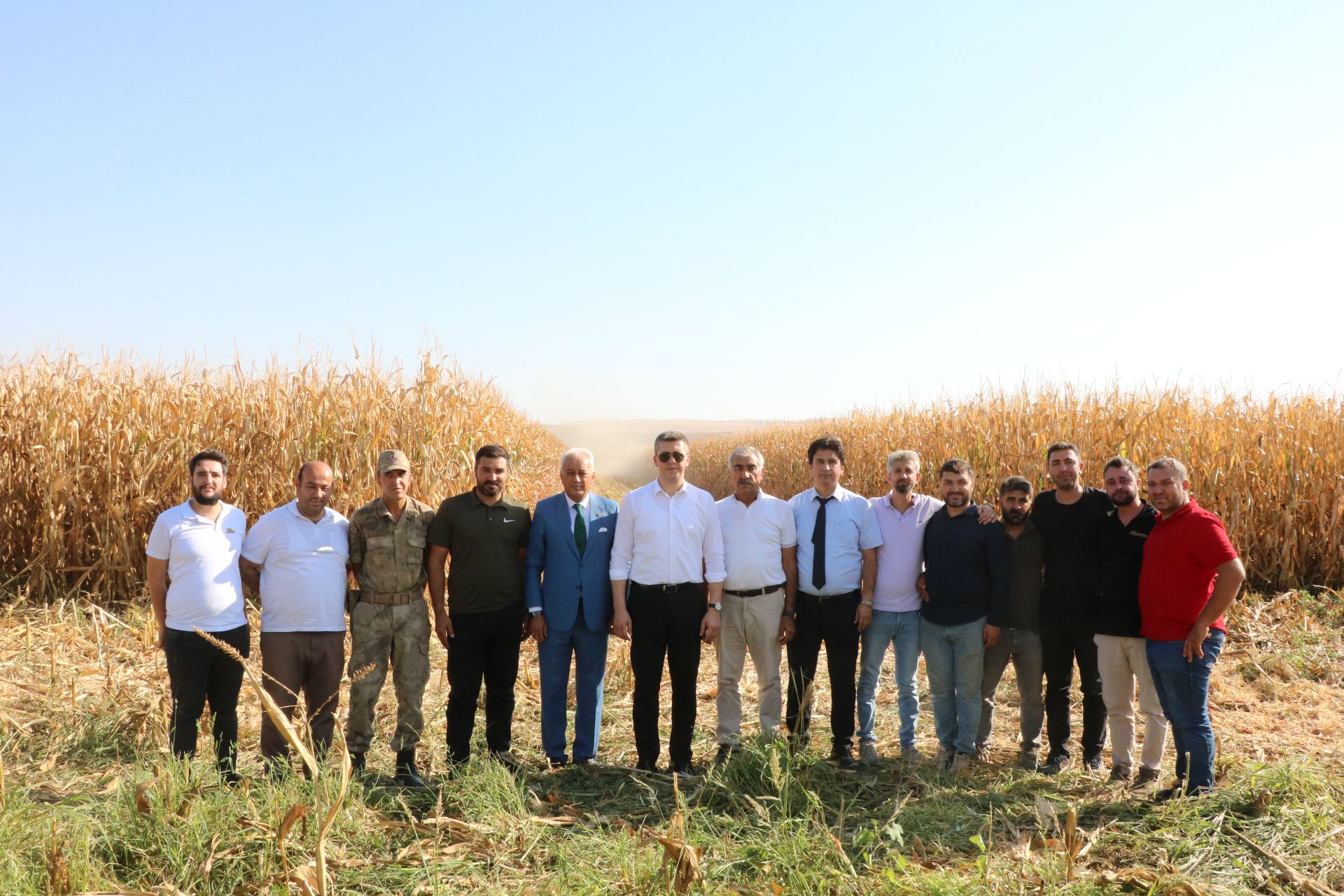 Siirt’in Kurtalan İlçesinde Mısır Hasadı Başladı | Siirt Olay Haber