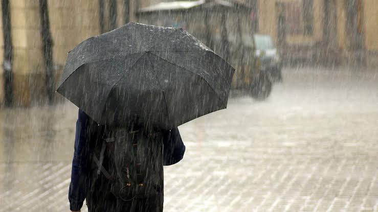 Doğu Karadeniz ile Ordu, Dersim, Bingöl, Elazığ, Diyarbakır’ın kuzeyi, Bitlis,