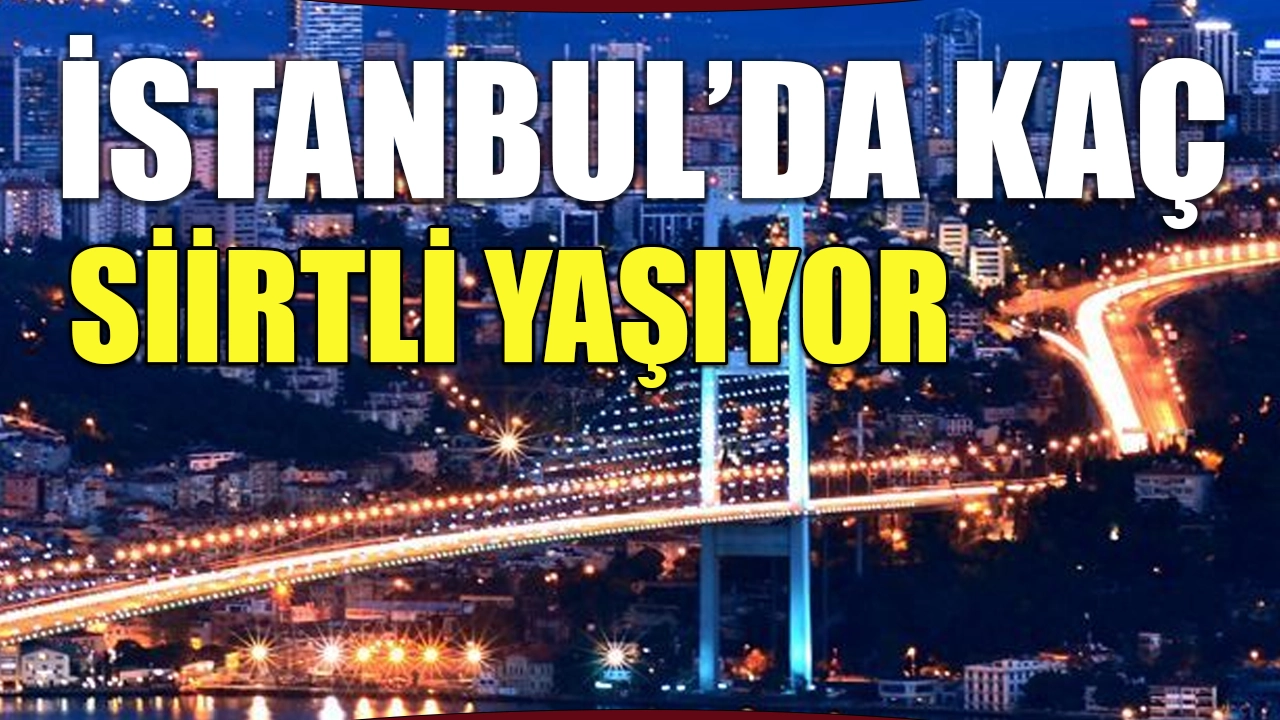 TÜİK’in verilerine göre İstanbul’da