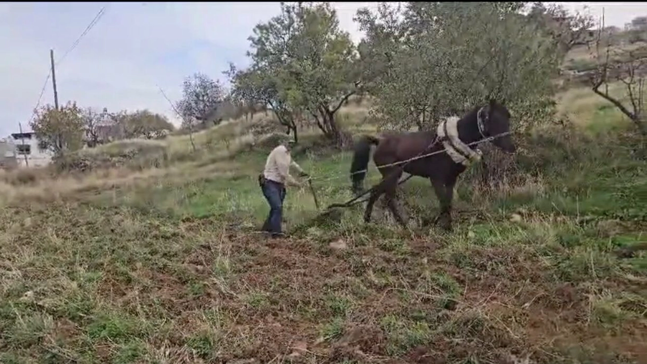 Soğuk günlerin yaklaşmasıyla birlikte