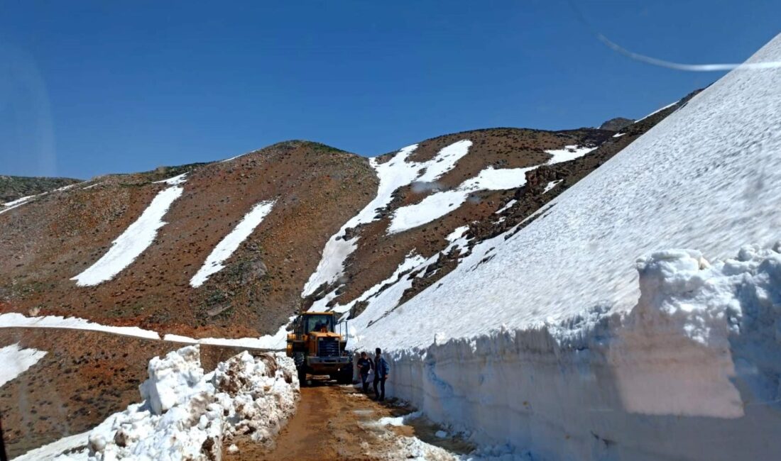 Siirt İl Özel İdaresi