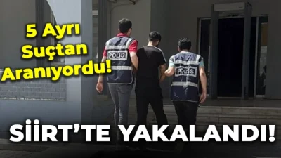 Siirt Valiliği İl Emniyet Müdürlüğü ekiplerince aranan şahısların yakalanmasına yönelik