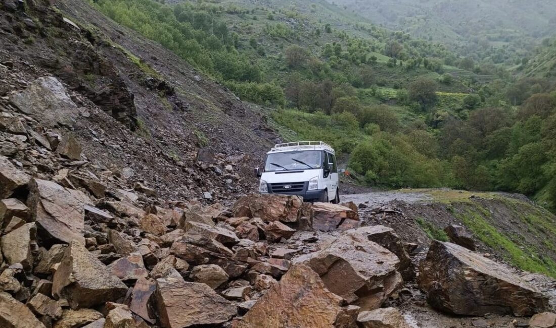 Siirt Valiliği öncülüğünde köy