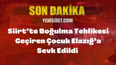 Siirt'in Sarıtepe Köyü yakınlarında, 5 yaşlarındaki  Nesrin Tokdemir, çayda