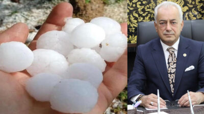 Son bir haftada Siirt il genelinde görülen dolunun birçok üründe