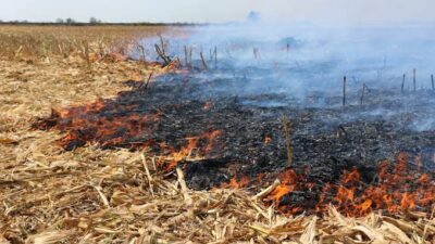 Siirt Valisi Dr. Kemal Kızılkaya, vatandaşlara yönelik önemli bir duyuru